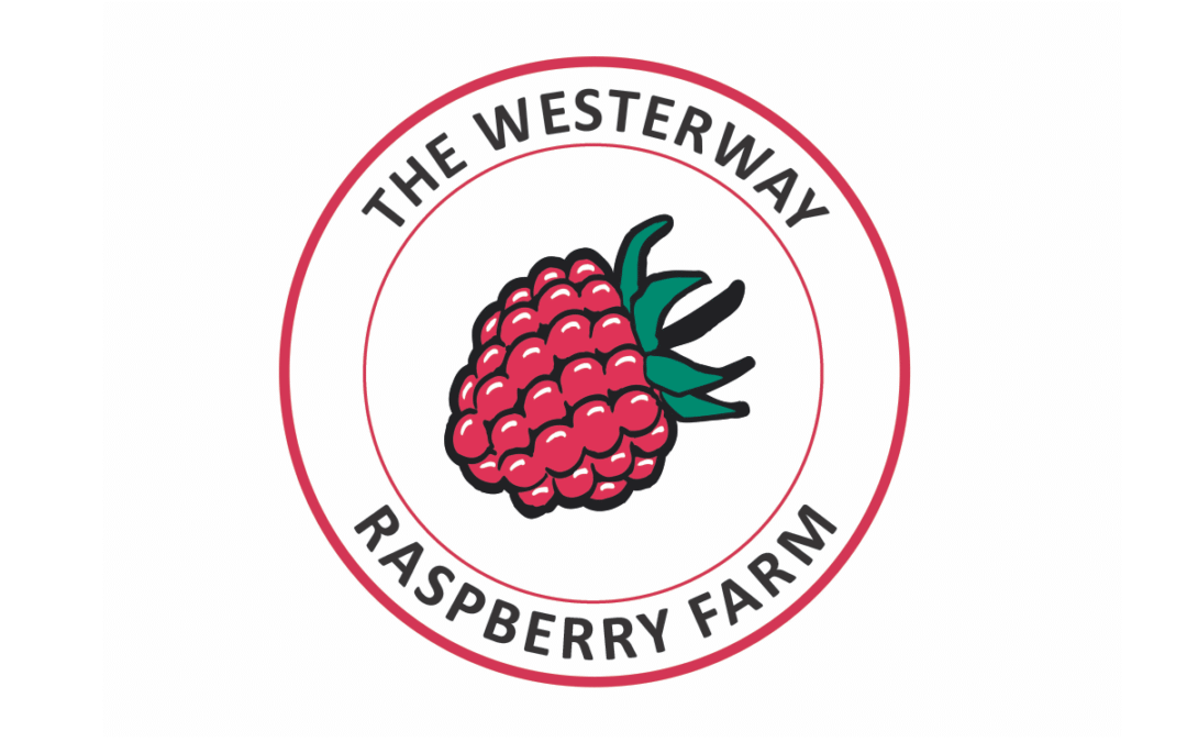The Westerway Raspberry Farm | Island Harvest Tasmania