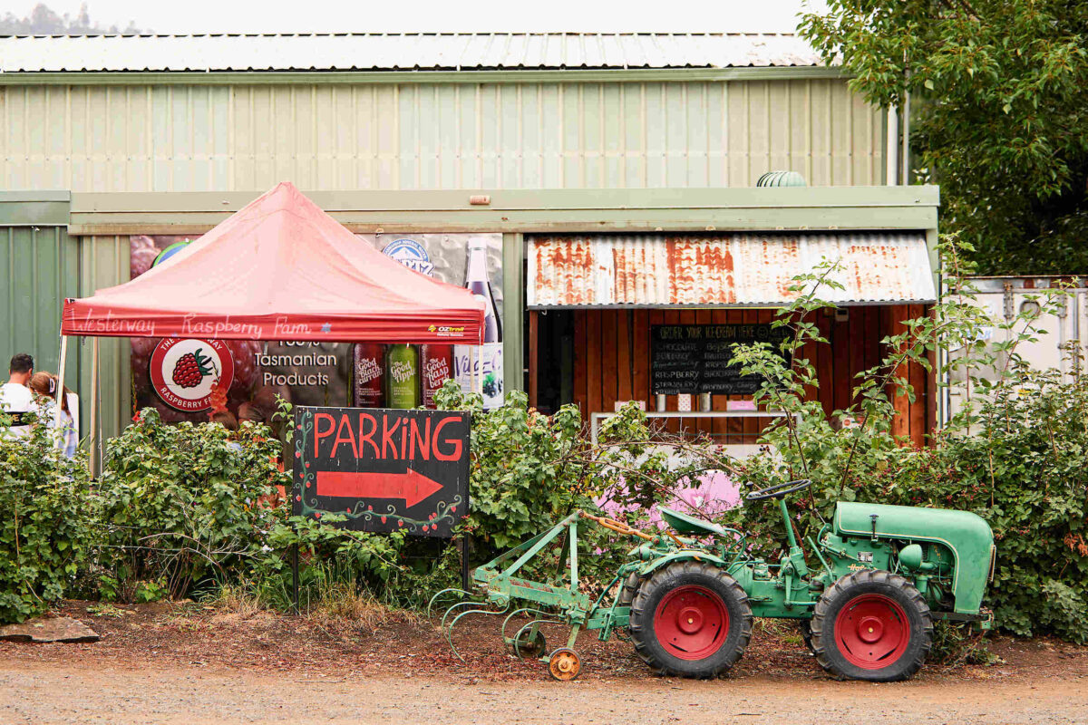 Westerway Raspberry Farm
