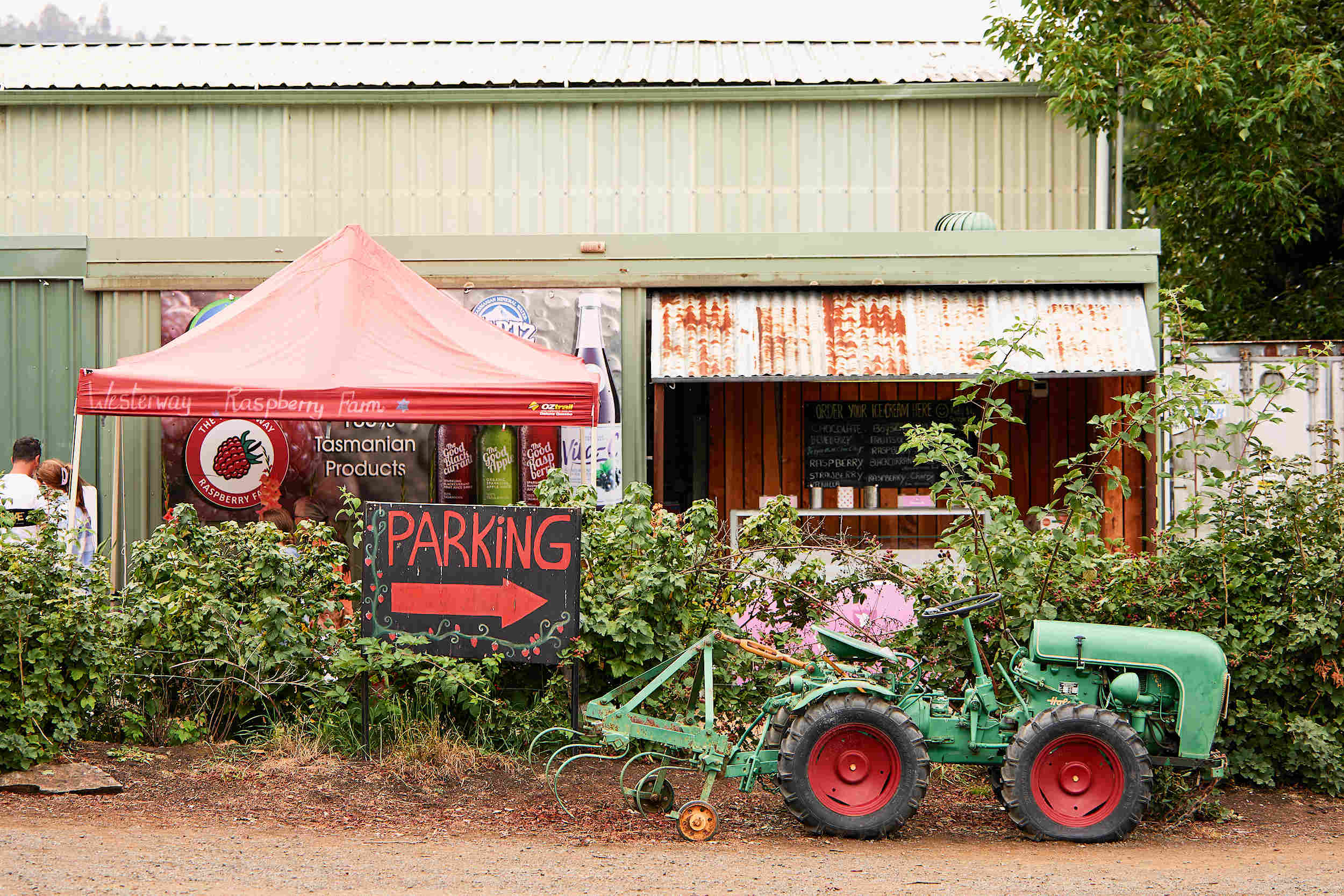 Westerway Raspberry Farm